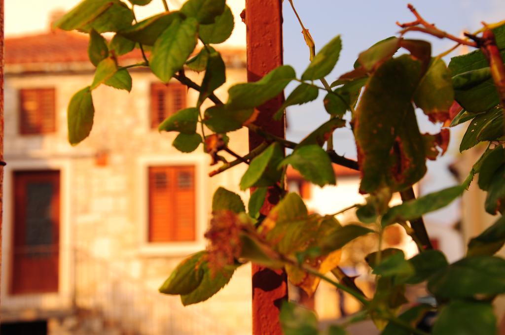 Nebojsega B&B Santa Croce Mare Ngoại thất bức ảnh